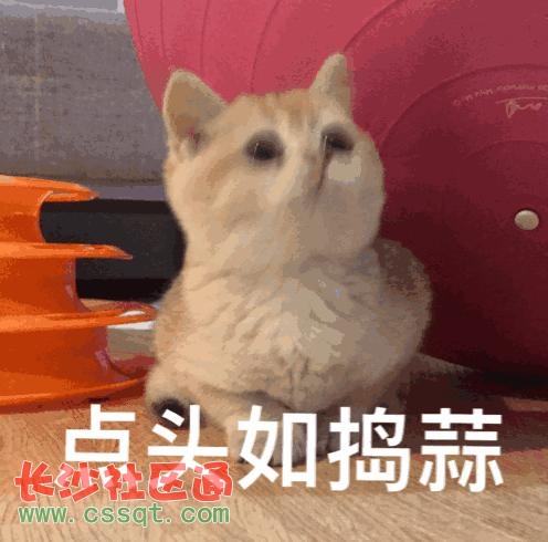 ΢ܛź